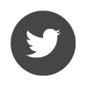 Seguici su Twitter
